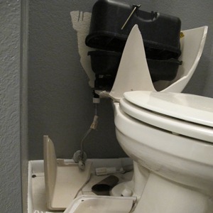 Pressure Assisted Toilets Exploding 1