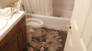 Image of a bathroom where the toilet and bathtub have sewer backup and it has covered the floor.