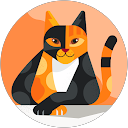 Jan Mitchell profile picture