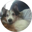 Pete Heim profile picture