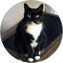 Cecelia W Switzer profile picture